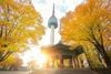 MÙA THU HÀN QUỐC – SEOUL - NAMI - CUNG ĐIỆN GYEONGBOK - NAMSAN