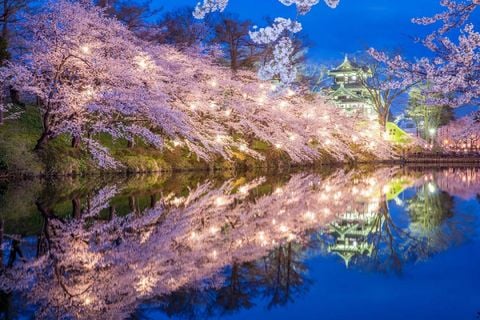Đà Nẵng - Niigata - Fukushima - Tokyo - Núi Phú Sỹ -  Niigata_VJ_6N5Đ