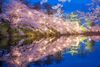 Đà Nẵng - Niigata - Fukushima - Tokyo - Núi Phú Sỹ -  Niigata_VJ_6N5Đ