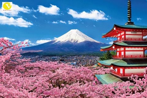 ĐÀ NẴNG - NÚI PHÚ SĨ - TOKYO_VJ_5N4Đ_24-28/03/2020