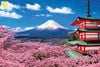 ĐÀ NẴNG - NÚI PHÚ SĨ - TOKYO_VJ_5N4Đ_24-28/03/2020