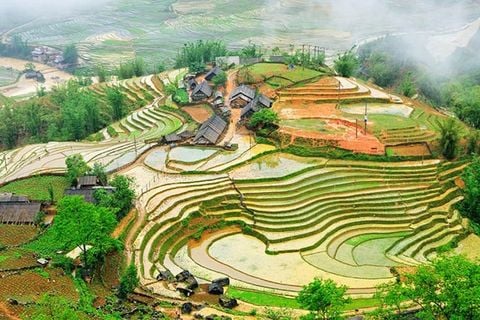Mai Châu - Mộc Châu_2N1Đ