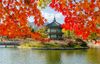 MÙA THU HÀN QUỐC – SEOUL - NAMI - CUNG ĐIỆN GYEONGBOK - NAMSAN