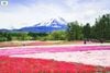 ĐÀ NẴNG - NÚI PHÚ SĨ - TOKYO - YAMANASHI_VJ_4N4Đ