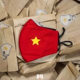 VIETNAM RED & GOLD MASK