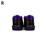 NIKE LEBRON WITNESS 8 