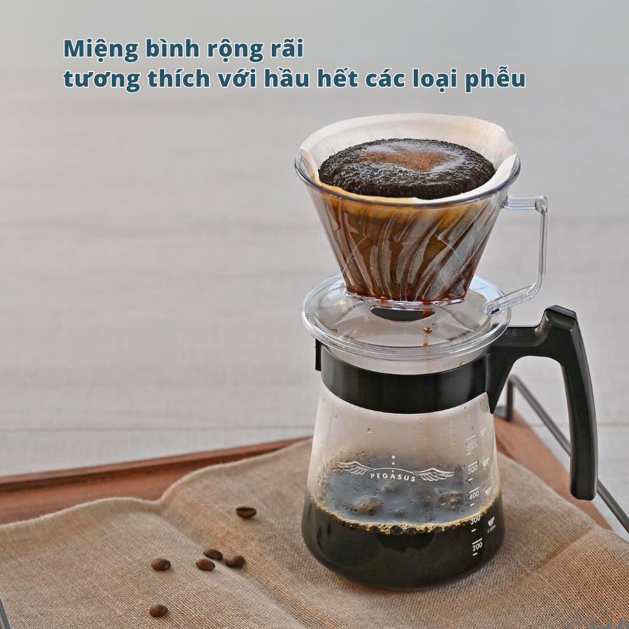  Bình server pha cà phê Hario Pegasus PED-01-B size 01 300ml (thủy tinh chịu nhiệt) 