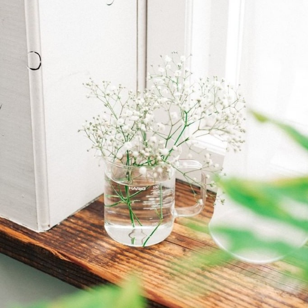  Bình server đựng cà phê Hario Beaker Server BV-300 bằng thủy tinh 300ml (Crafts Science series) 