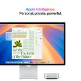  Cho thuê Mac Mini M4 24GB RAM 512GB 