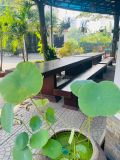  Căn hộ dịch vụ 3PN 140m2 - An Phú 