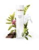 Nước hoa Elizabeth Arden White Tea 100ml