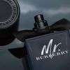 Nước hoa Mr. Burberry EDP 100ml
