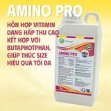  AMINO PRO - Hỗn hợp vitamin kết hợp butaphosphan 