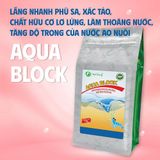  AQUA BLOCK - Lắng tụ chất lơ lửng 