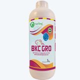  BKC GRO - Diệt khuẩn, sát trùng nước, cắt tảo 