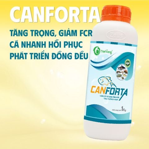 DINH DƯỠNG (cá)