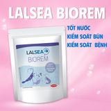  LALSEA BIOREM - Cải thiện chất lượng nước ao nuôi 