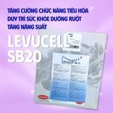  LEVUCELL SB20 (Gói 1kg) - Làm tốt sức khỏe đường ruột 