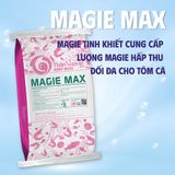  MAGIE MAX - Cung cấp Magie cao cấp 