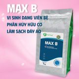  MAX B - Vi sinh xử lý đáy nước 