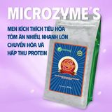 MICROZYME S - Men tiêu hóa giúp hấp thu dinh dưỡng 