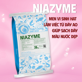  MEN VI SINH HẠT LÀM VIỆC TỪ ĐÁY GIÚP SẠCH ĐÁY, ĐẸP MÀU NƯỚC,NGĂN NGỪA HÌNH THÀNH TẢO XANH NIAZYME 