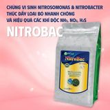  NITROBAC - Cải thiện chất lượng nước 