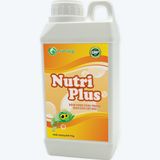  NUTRI PLUS - Kích thích tăng trọng 