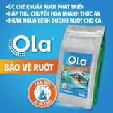  OLA BẢO VỆ RUỘT: Ức chế khuẩn ruột, tăng cường hấp thu 