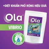  OLA VIBRIO: Loại bỏ vi khuẩn Vibrio hiệu quả, an toàn cho tôm nuôi 