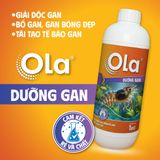  OLA DƯỠNG GAN: Phòng ngừa các bệnh về gan, bổ gan tụy 