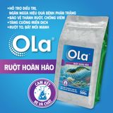  OLA RUỘT HOÀN HẢO: Giải pháp cho sức khỏe đường ruột 