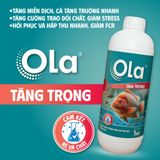  OLA TĂNG TRỌNG: Cung cấp vitamin tổng hợp đậm đặc, giảm FCR 