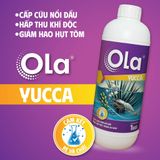  OLA YUCCA: Cấp cứu tôm nổi đầu, khử độc trong ao nuôi 