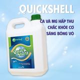  KHOÁNG SỮA BỔ SUNG HÀM LƯỢNG CAO CANXI VÀ MAGIE GIÚP TÔM BÓNG VỎ, CHẮC THỊT QUICKSHELL 