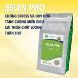  SELEN PRO - Bổ sung Selenium hữu cơ 