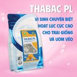  THABAC PL - Vi sinh trại giống 