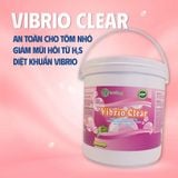  DIỆT KHUẨN PHỔ RỘNG AN TOÀN CHO CÁ TÔM NHỎ, KIỂM SOÁT MẬT ĐỘ KHUẨN TỪ CÁC LOÀI VIBRIO VÀ GIẢM MÙI HÔI TỪ H2S VIBRIO CLEAR 