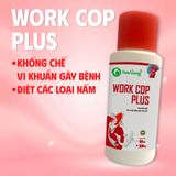  WORK COP Plus - CHUYÊN DIỆT CÁC LOẠI NẤM GÂY LỞ LOÉT 