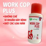  WORK COP Plus - CHUYÊN DIỆT CÁC LOẠI NẤM GÂY LỞ LOÉT 