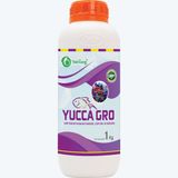  YUCCA GRO - Hấp thụ khí độc, cấp cứu cá nổi đầu 