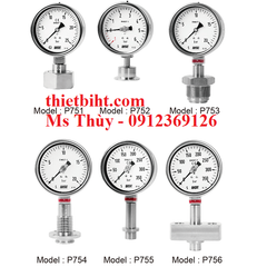 Đồng hồ áp suất dạng màng Wise Model P750