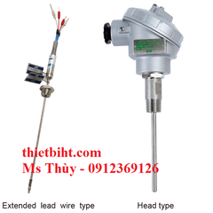 Can nhiệt Wise R200 (R201, R202) - Can PT100