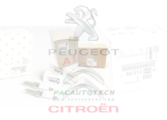 BÁT BẮT ĐÈN TRẦN 98134890PR PEUGEOT 3008 All New CKD