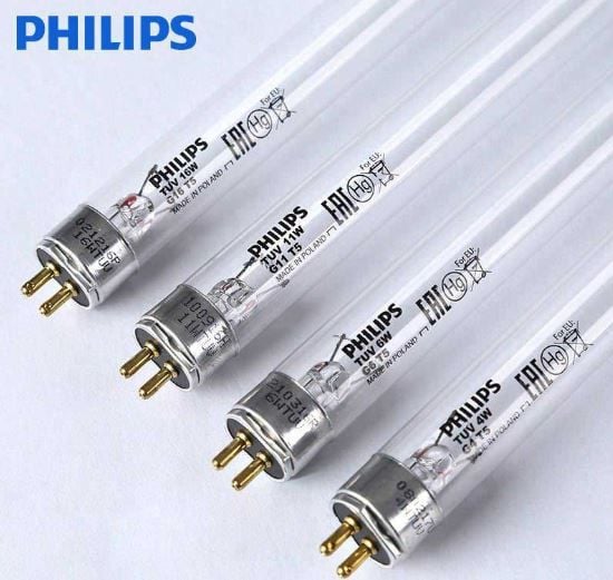 Bóng Đèn UV Philip 11W