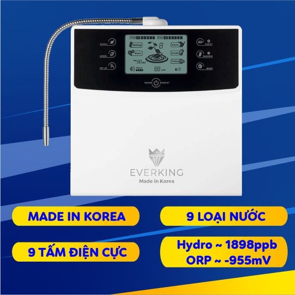 Máy Điện Giải Ion Kiềm Everking EK-99