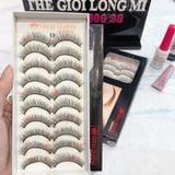  E9 hộp lông mi tóc tự nhiên 10 cặp thương hiệu Đăng Quang (Made in Vietnam) 