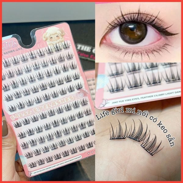  Camellia glue-free false eyelashes thương hiệu Life Girls 