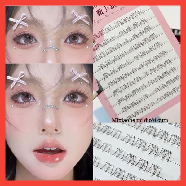  Mixiaohe hộp mi dưới dạng cụm (hộp 80 cụm) 