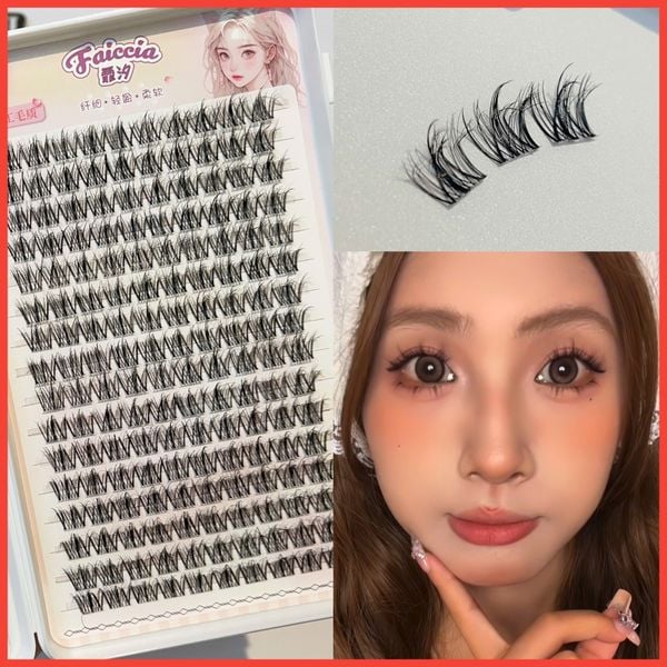  FC032-B hộp lông mi tự nối 5D số lượng 400 cụm thương hiệu Faiccia 